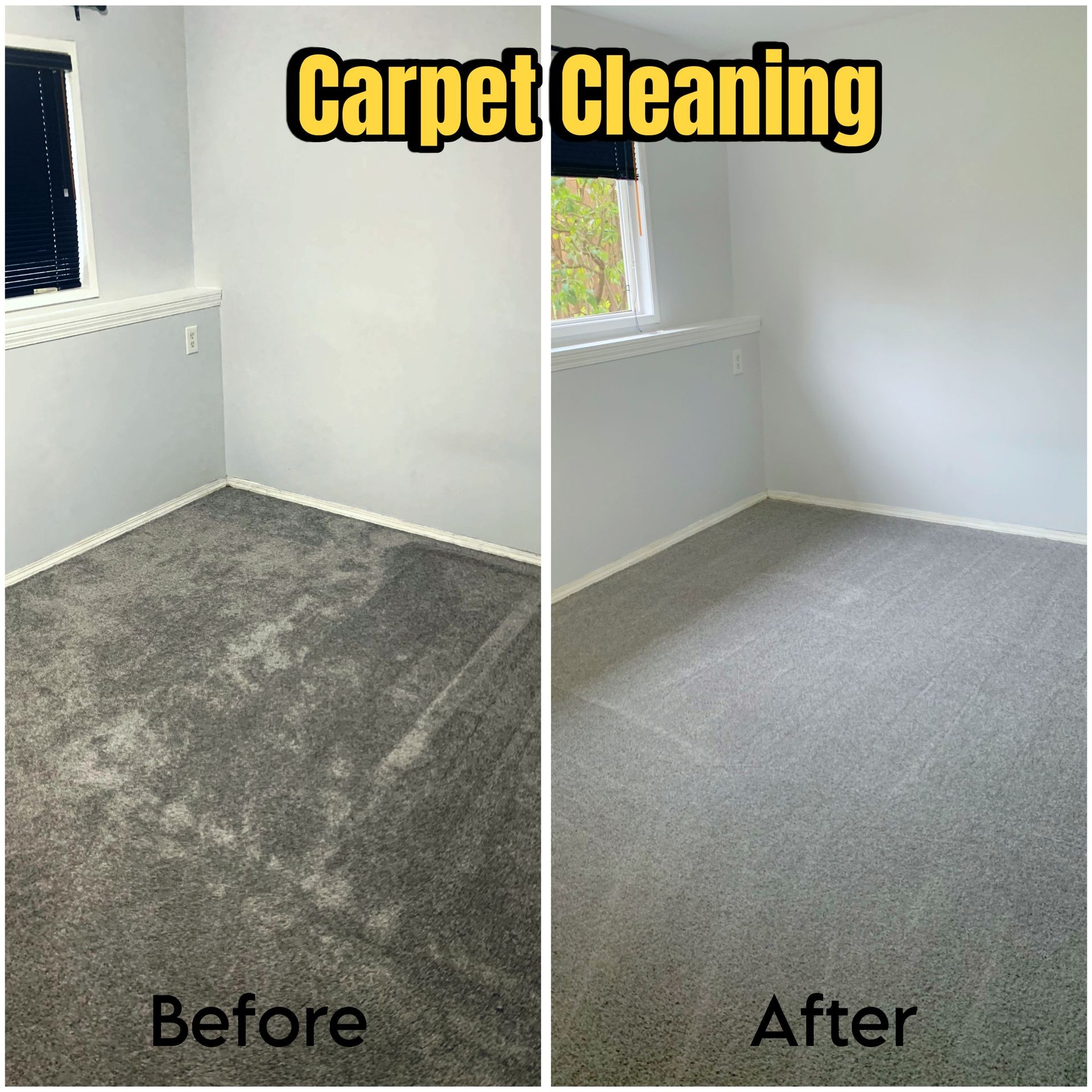 Professional Carpet Cleaning